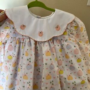 Beautiful Christian Elizabeth Fall Dress- NWT